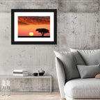 Serengeti Sunset Silhouette Wall Art