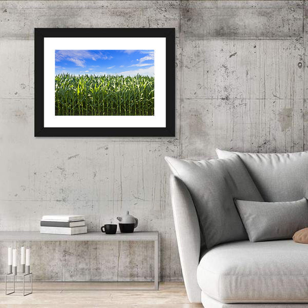 Green Corn Field Wall Art