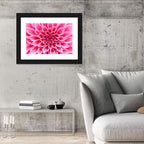 Pink Dahlia Spiral Close-up Wall Art