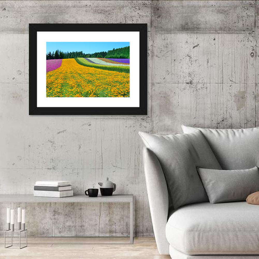 Tomita Flower Fields, Nakafurano Wall Art in a room, landscape