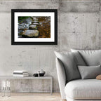 Mossy Stepping Stones Over Stream Wall Art