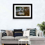 Mossy Stepping Stones Over Stream Wall Art