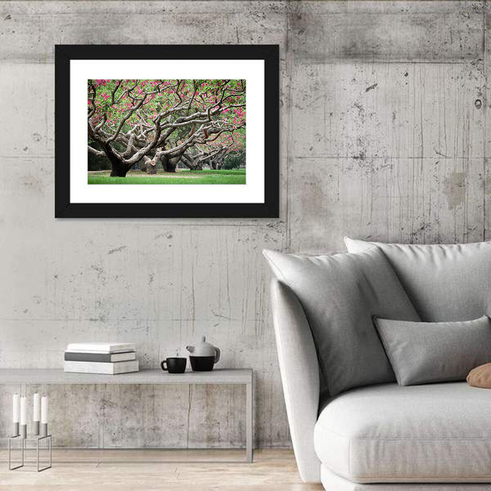 Peach Orchard in Bloom Wall Art in a room, landscape
