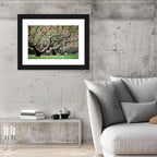 Peach Orchard in Bloom Wall Art