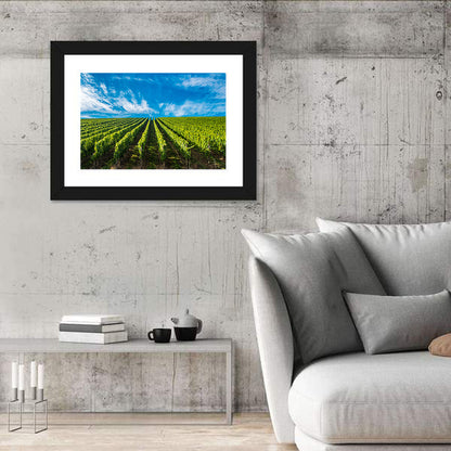 Luxembourg Vineyards Wall Art