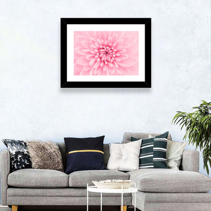 Chrysanthemum Petals Wall Art