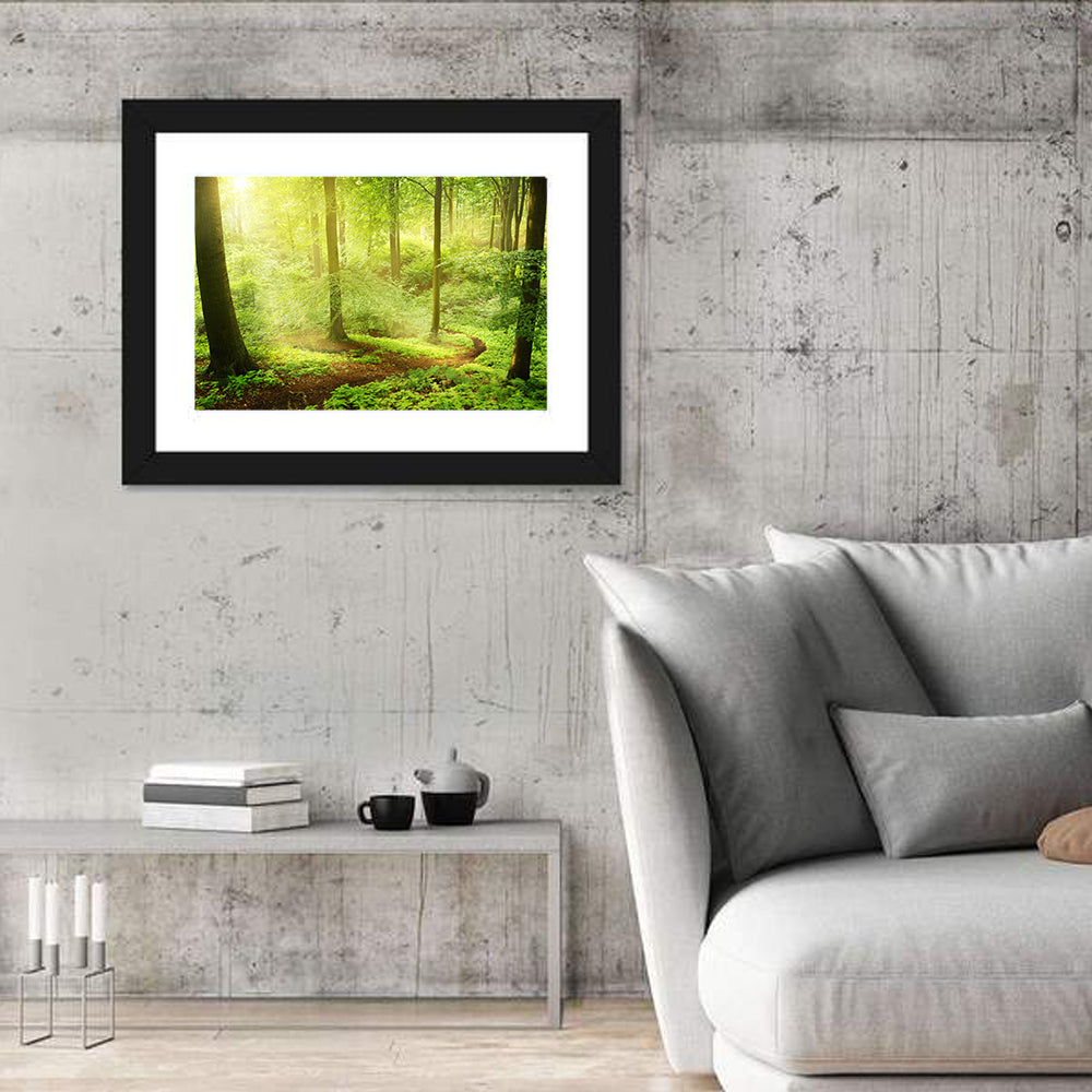 Sunlit Forest Path Wall Art in a room, landscape