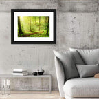Sunlit Forest Path Wall Art