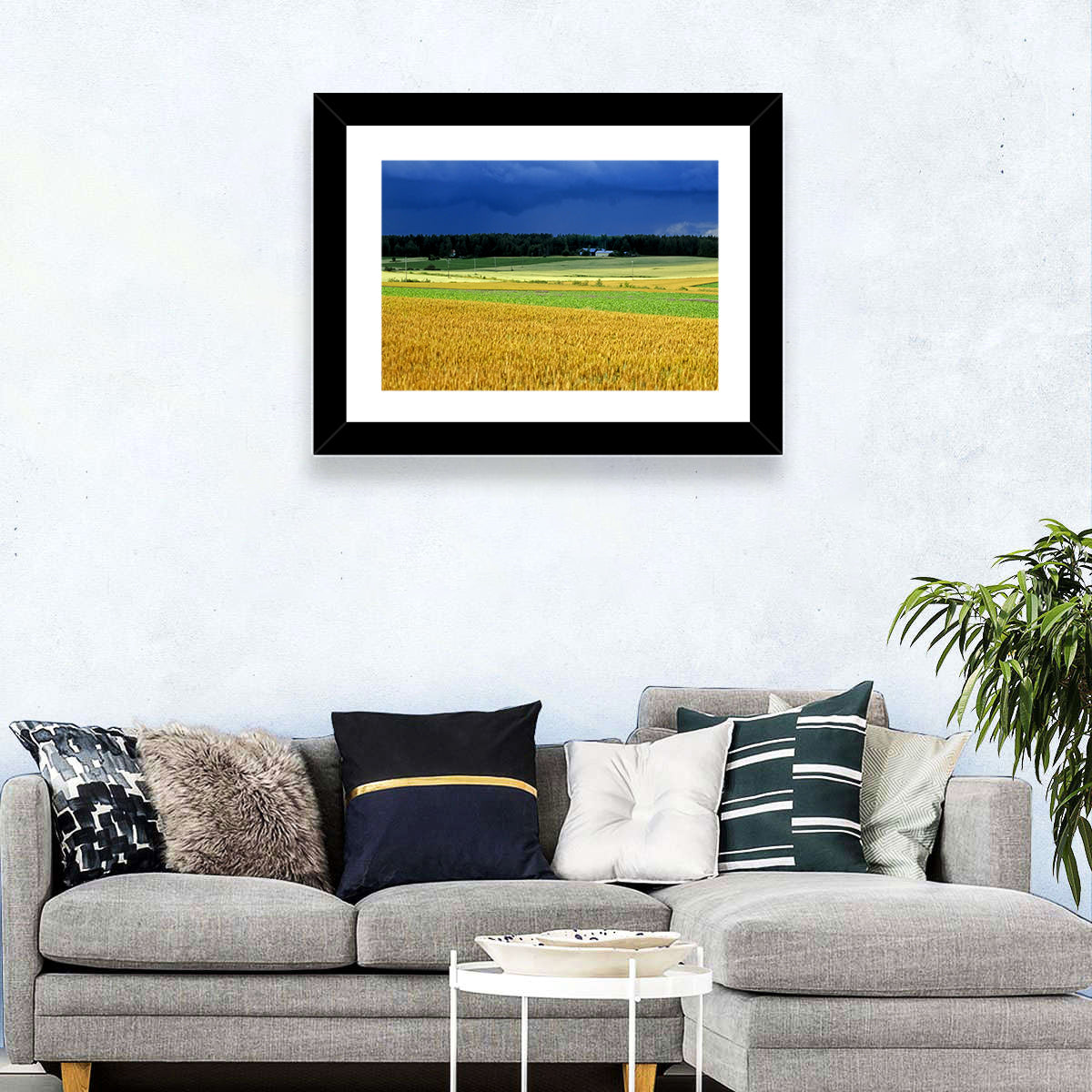 Cornfields Under Stormy Sky Wall Art in a room, landscape