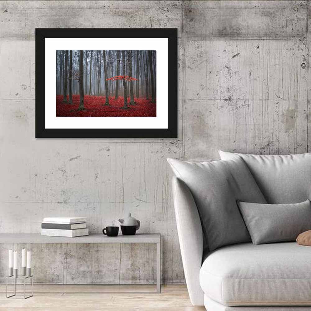 Red Foggy Autumn Forest Wall Art in a room, landscape