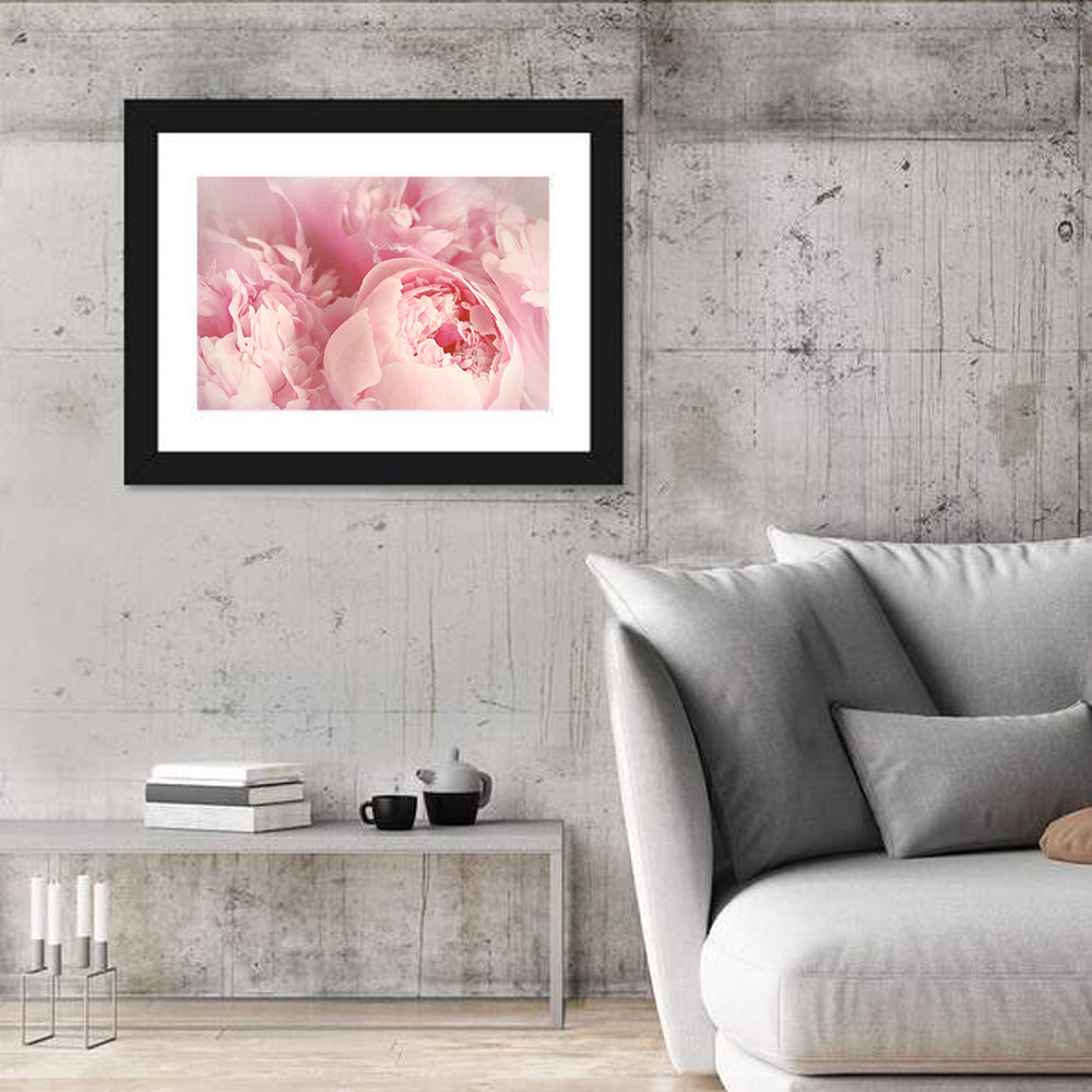 Soft Pink Peony Close Up Wall Art in a room, landscape