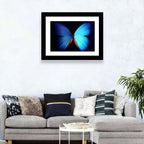 Blue Butterfly Macro Study Wall Art