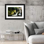 Rainforest Waterfall with Moss Covered Boulders Wall Art