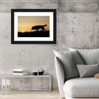 Wolf at Golden Horizon Wall Art