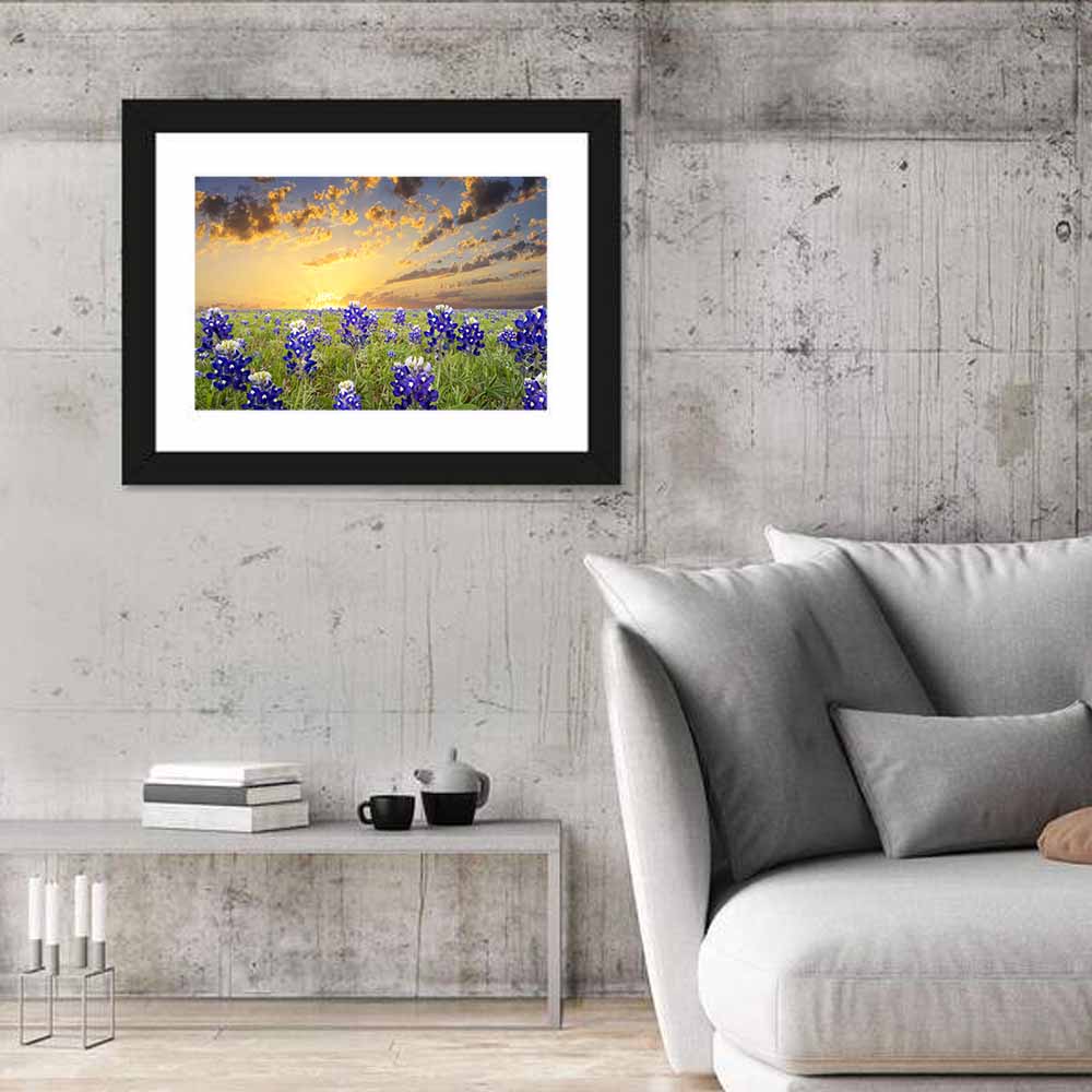 Bluebonnet Field at Sunset Wall Art