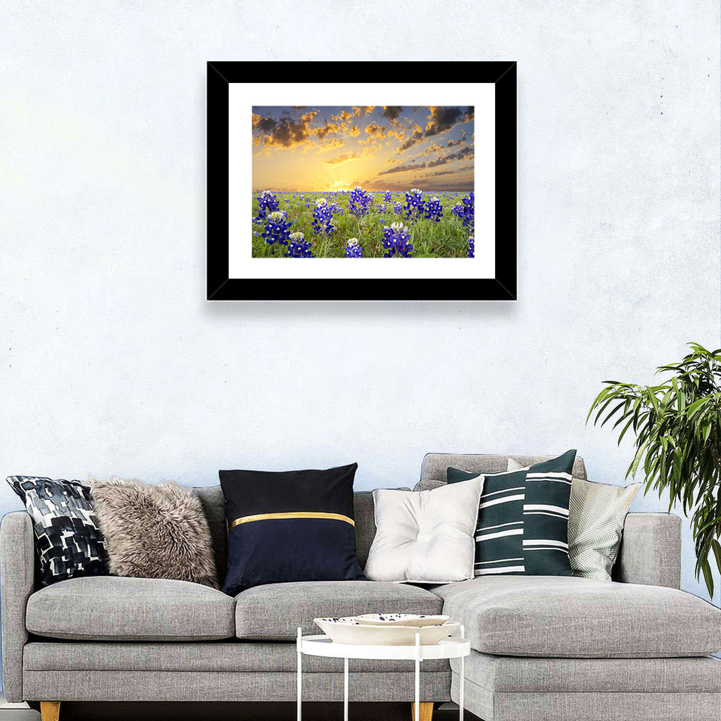 Bluebonnet Field at Sunset Wall Art