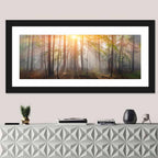 Carpathian Morning Forest Wall Art