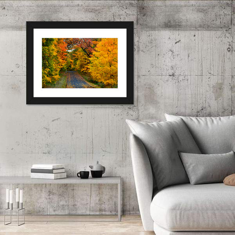 Autumn Road Through Wisconsin Park Wall Art in a room, landscape