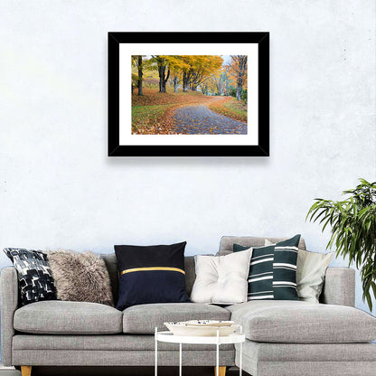 Autumn Leaves on Road Wall Art