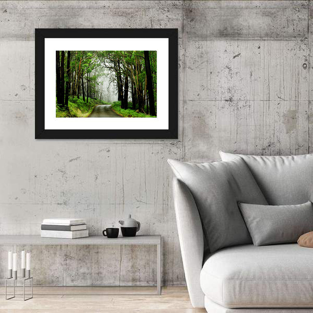 Misty Eucalyptus Road Wall Art in a room, landscape