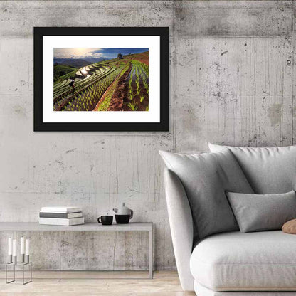 Chiang Mai Rice Fields Wall Art