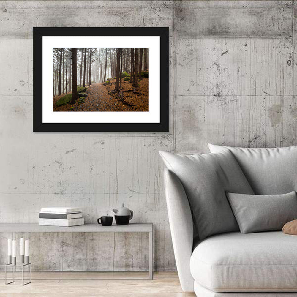 Misty Appalachian Trail Path Wall Art