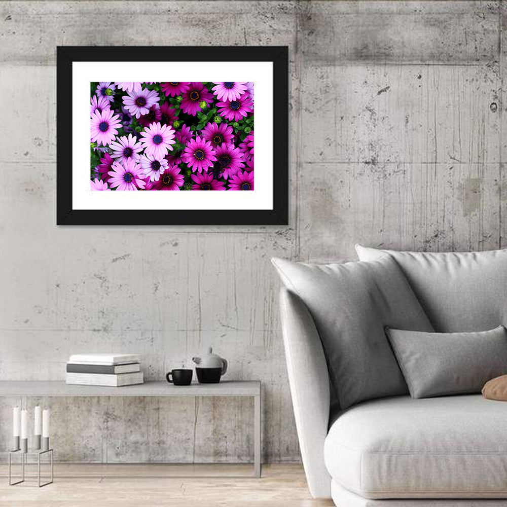 Pink and Purple Daisies Wall Art