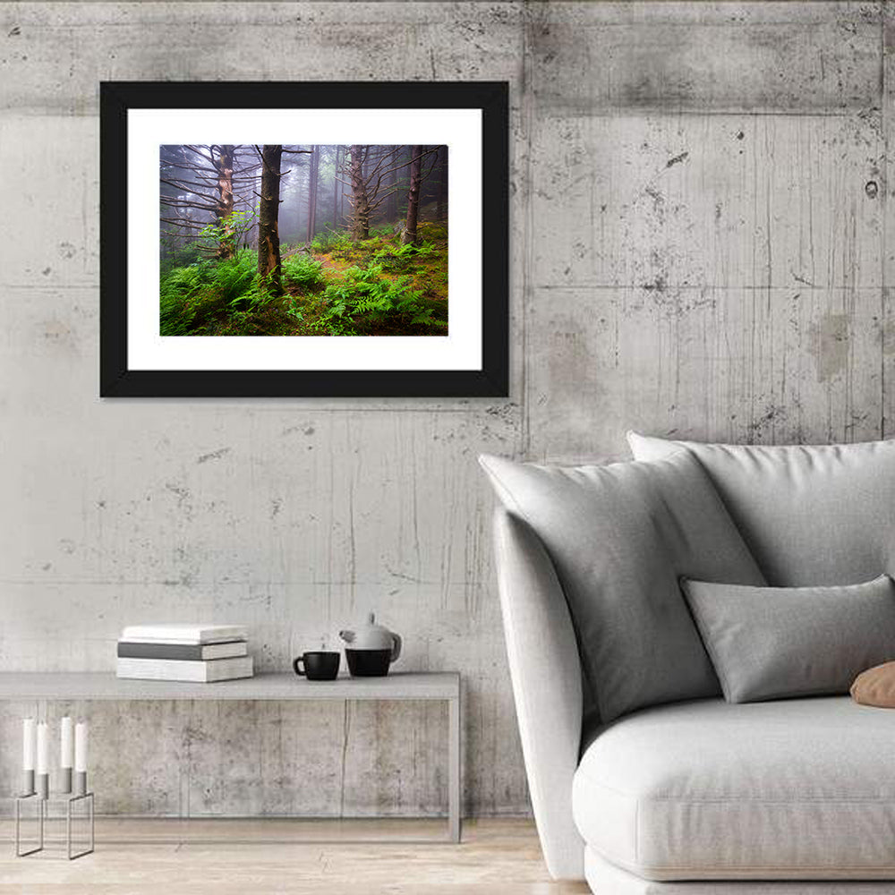 Misty Spruce-fir Trail Wall Art in a room, landscape