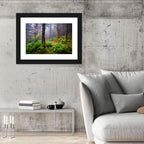 Misty Spruce-fir Trail Wall Art
