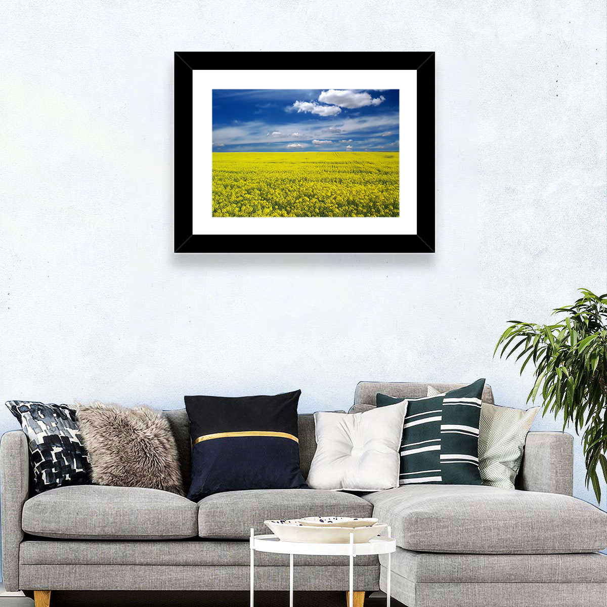 Sunlit Canola Field Wall Art