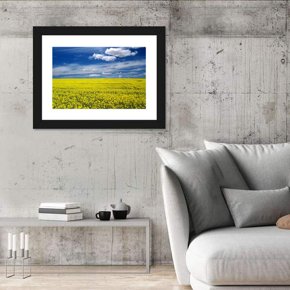 Sunlit Canola Field Wall Art in a room, landscape