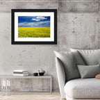 Sunlit Canola Field Wall Art