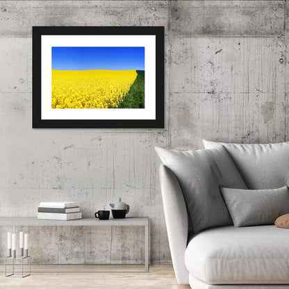 Rapeseed Field Wall Art