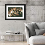 Vintage Military Propeller Plane Wall Art