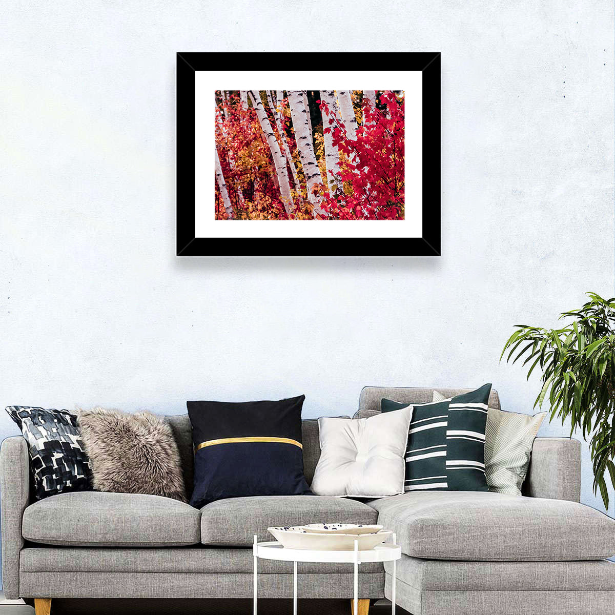 Autumn Birches with Crimson Maples Wall Art in a room, landscape