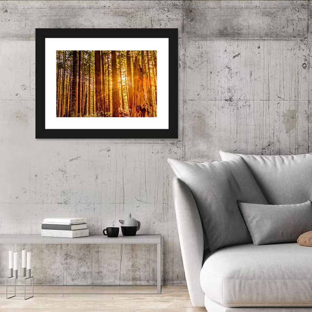 Golden Hour Redwood Sunburst Wall Art in a room, landscape