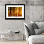 Golden Hour Redwood Sunburst Wall Art