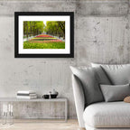 Tree-lined Tulip Garden Path Wall Art