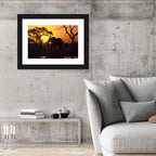 Elephant at Sunset Wall Art
