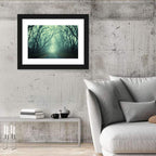 Foggy Forest Pathway Wall Art