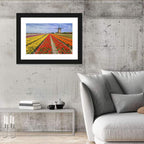 Spring Tulip Fields with Dutch Windmill Wall Art