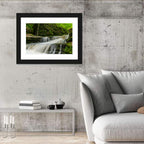 Matthiessen Forest Cascade Wall Art