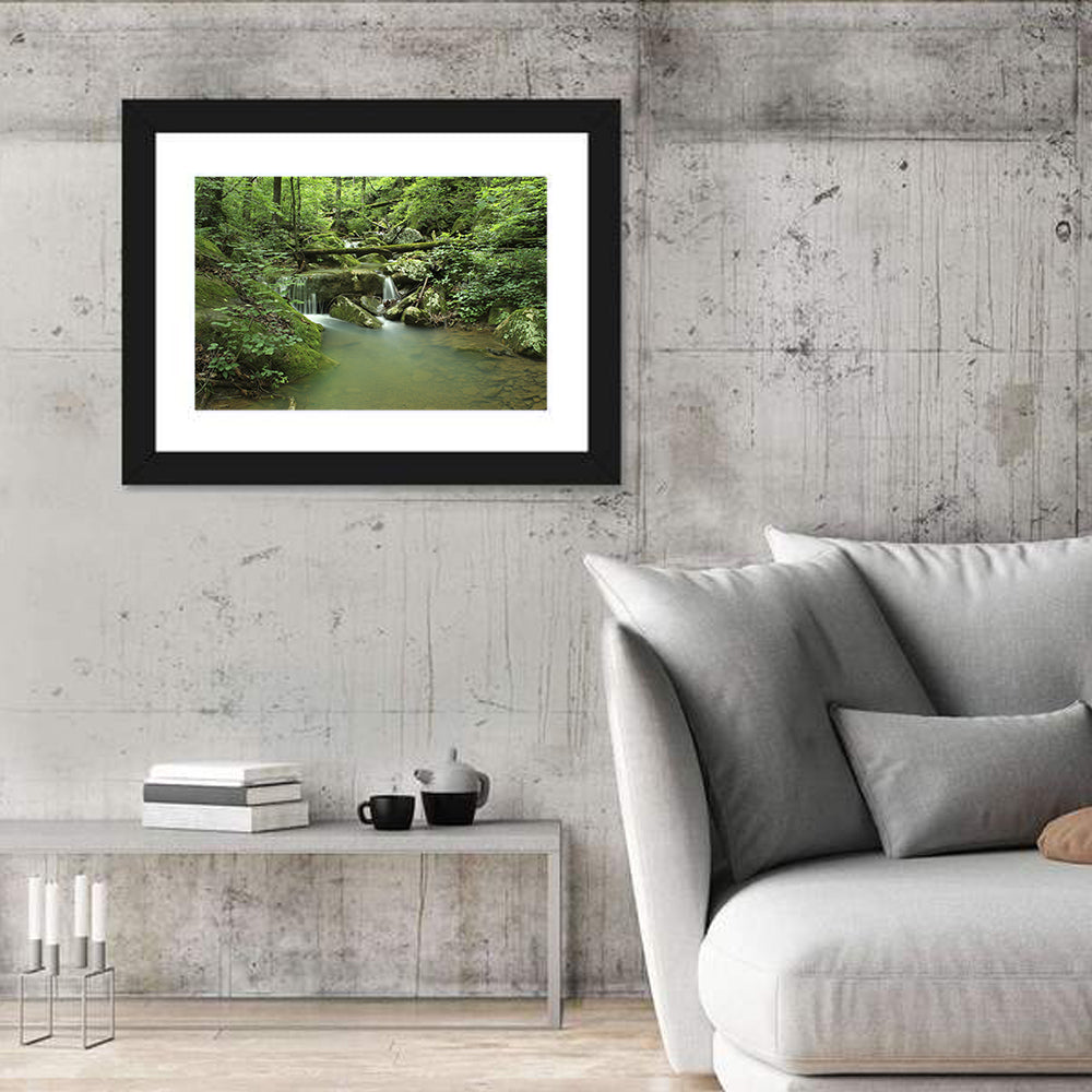 Arkansas Forest Stream Wall Art in a room, landscape