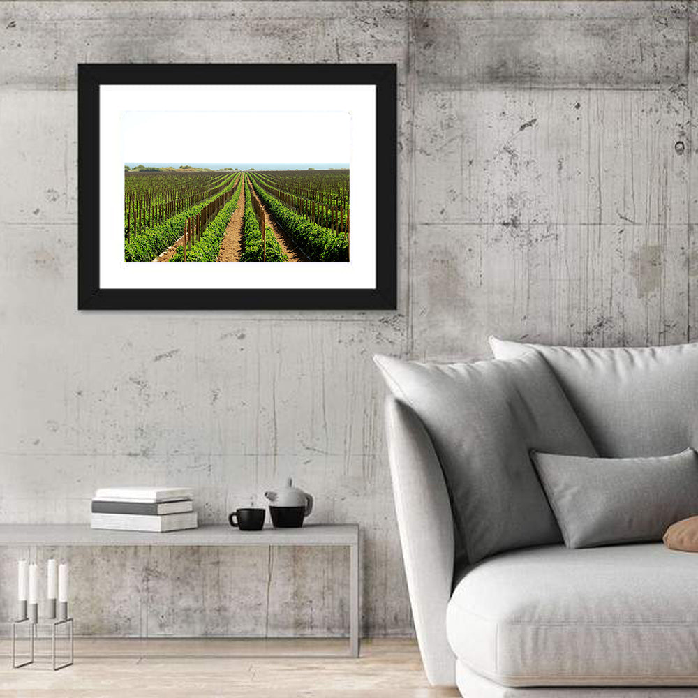 Tomato Fields Wall Art