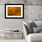 Golden Beech Tree Tunnel in Autumn Wall Art