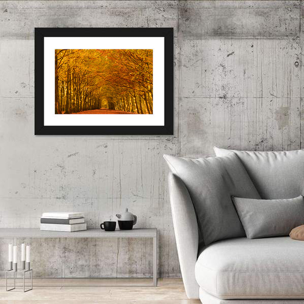 Golden Beech Tree Tunnel in Autumn Wall Art