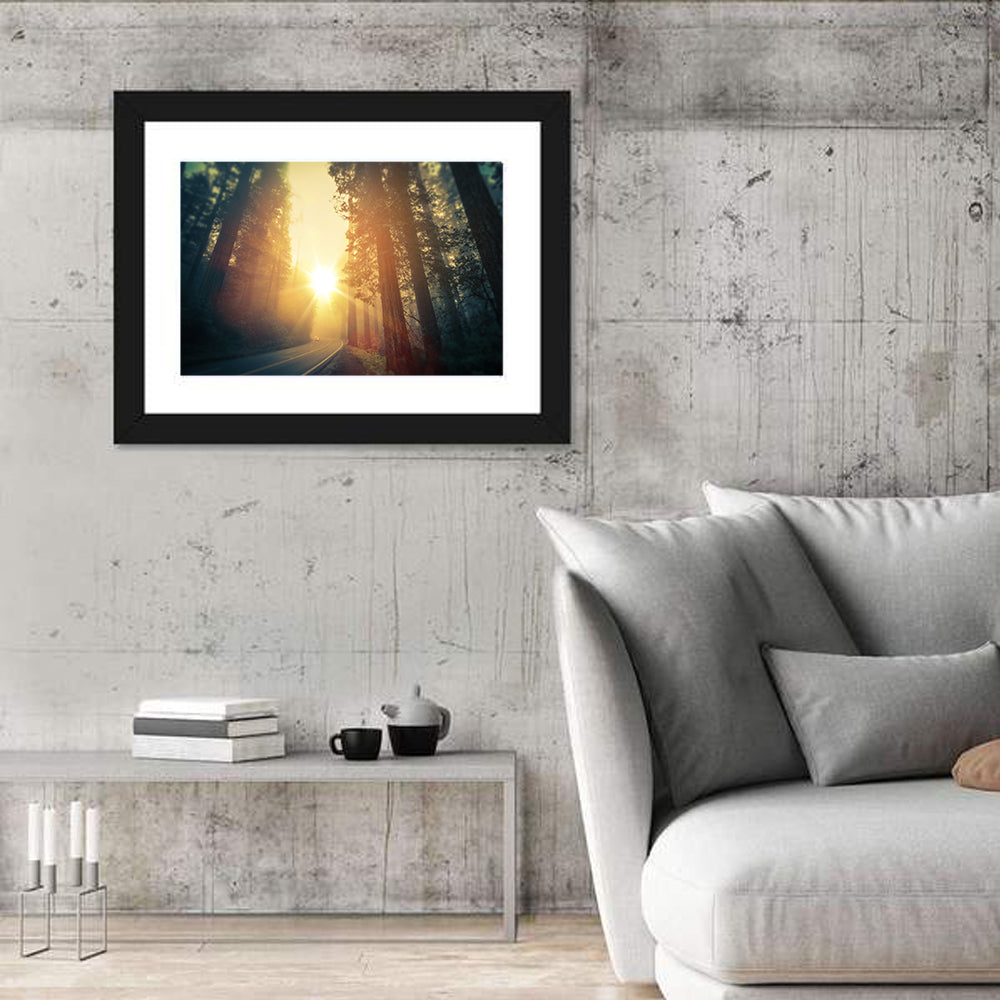 Misty Redwood Road with Golden Sunburst Wall Art