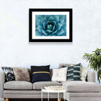 Spiral Agave Macro Wall Art