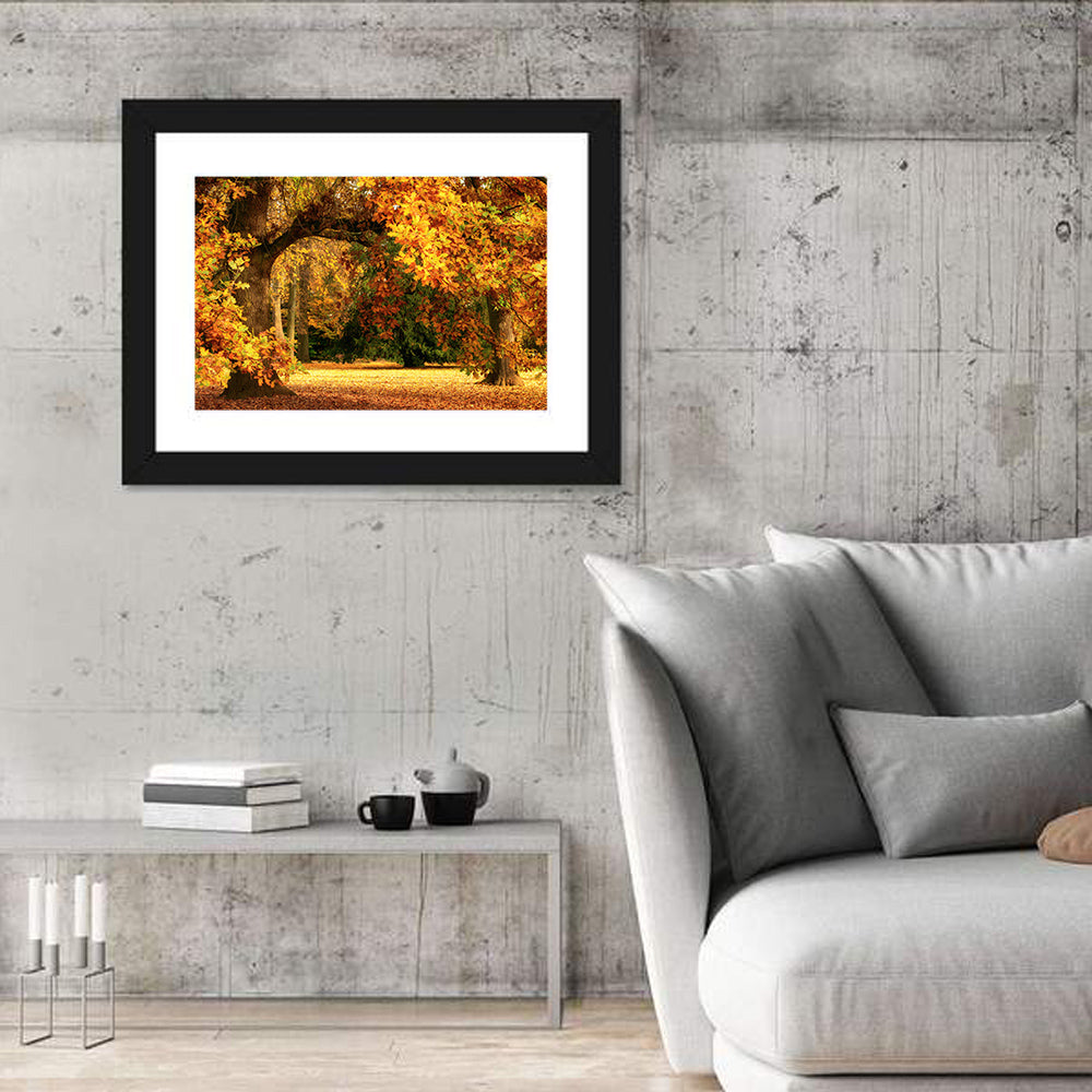 Autumn Park Oaks Wall Art