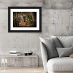 Louisiana Swamp Boardwalk Wall Art